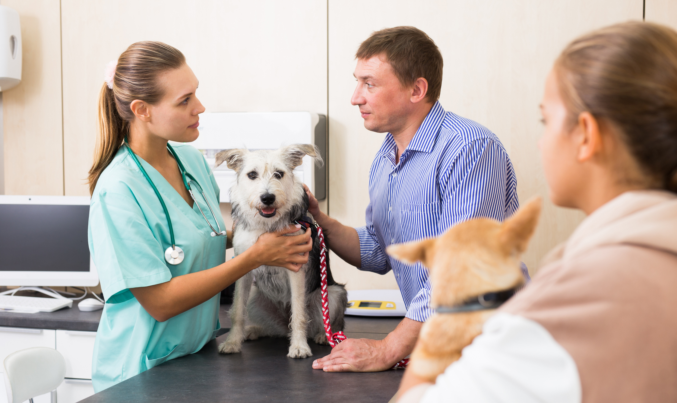 Father and daughter waiting for a vet diagnosis